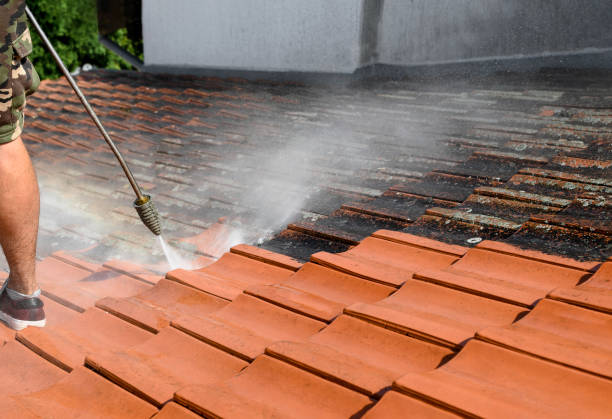 Best Garage Pressure Washing  in Columbus Grove, OH