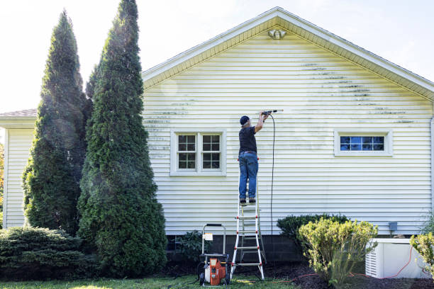 Best Sidewalk Pressure Washing  in Columbus Grove, OH
