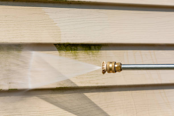 Best Best Pressure Washing Companies  in Columbus Grove, OH
