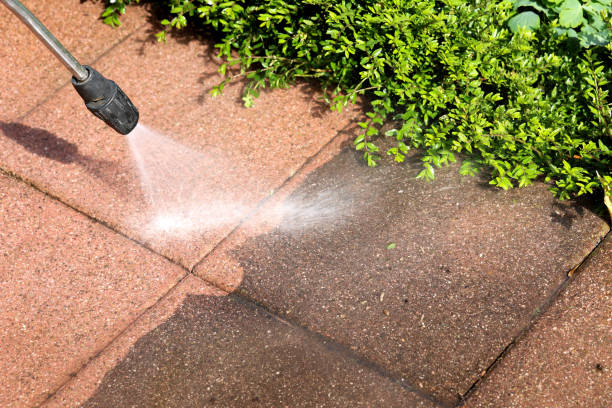 Best Local Pressure Washing Services  in Columbus Grove, OH